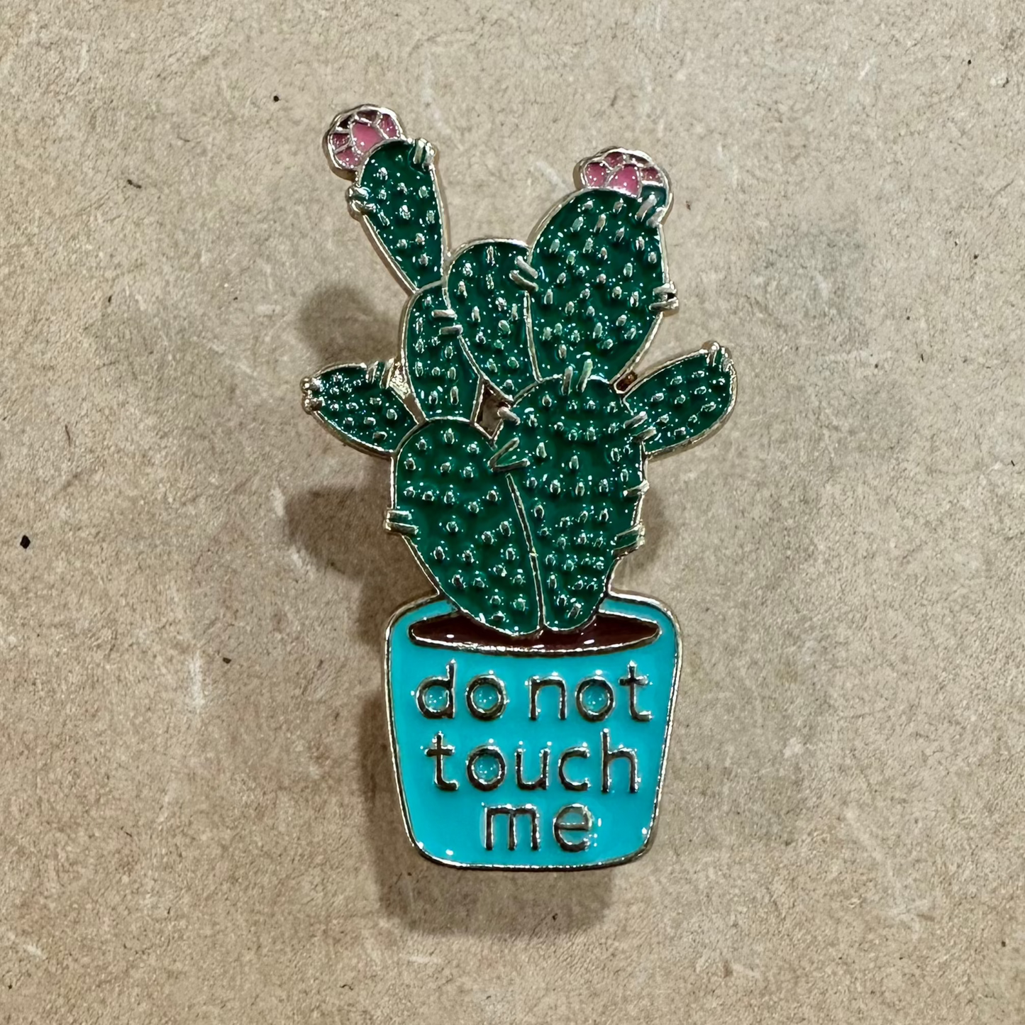 Do Not Touch Me Cactus Pin